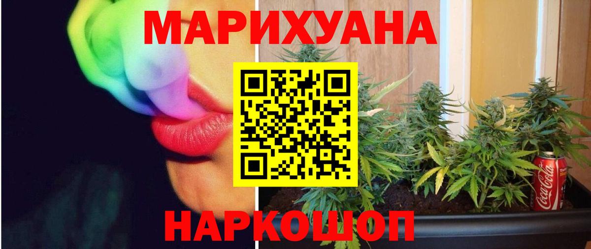 Канабис сатива Удомля
