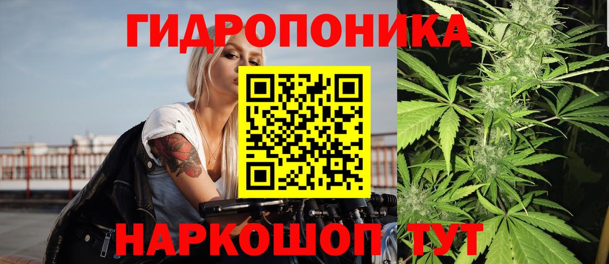 Каннабис LSD WEED  Вход с VPN  Удомля  Марихуана план 